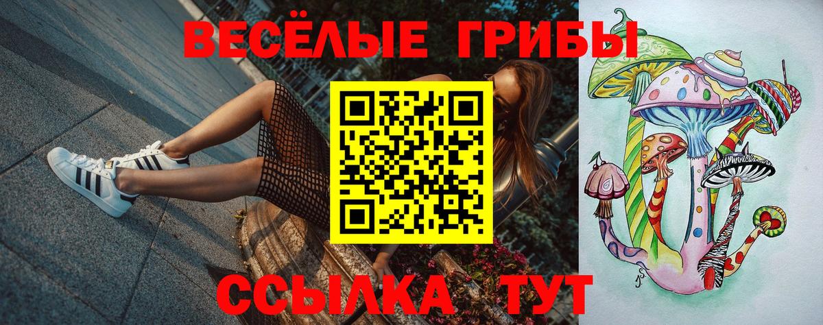 Псилоцибиновые грибы ЛСД  Вход с VPN  Нальчик 